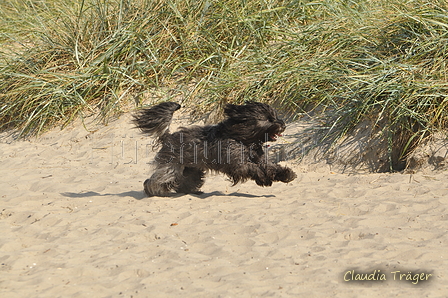 Hundestrand / Bild 103 von 376 / 20.09.2016 12:09 / DSC_9458.JPG