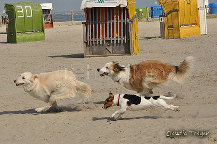 Hundestrand / Bild 109 von 376 / 20.09.2016 12:16 / DSC_9499.JPG