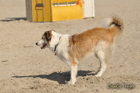 Hundestrand / Bild 113 von 376 / 20.09.2016 12:17 / DSC_9514.JPG