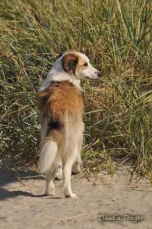 Hundestrand / Bild 119 von 376 / 20.09.2016 12:23 / DSC_9550.JPG