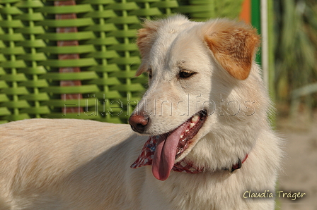 Hundestrand / Bild 122 von 376 / 20.09.2016 12:25 / DSC_9571.JPG