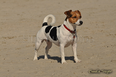 Hundestrand / Bild 125 von 376 / 20.09.2016 12:26 / DSC_9584.JPG