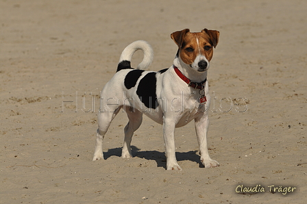 Hundestrand / Bild 126 von 376 / 20.09.2016 12:26 / DSC_9585.JPG