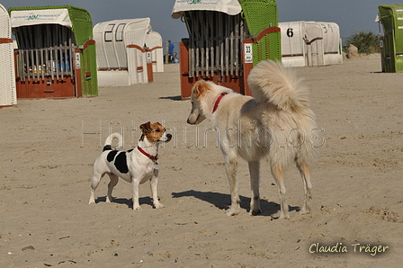 Hundestrand / Bild 127 von 376 / 20.09.2016 12:26 / DSC_9588.JPG