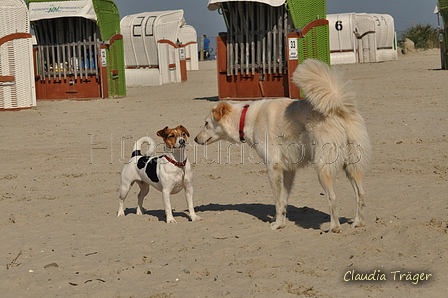 Hundestrand / Bild 128 von 376 / 20.09.2016 12:26 / DSC_9589.JPG