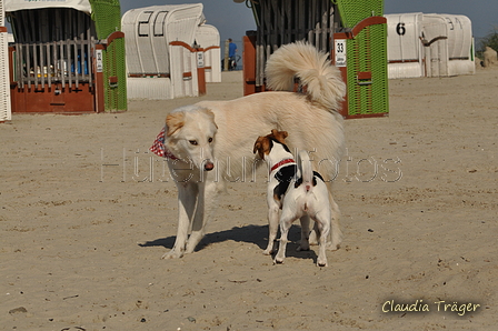 Hundestrand / Bild 129 von 376 / 20.09.2016 12:26 / DSC_9592.JPG