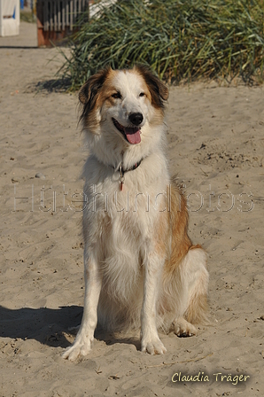 Hundestrand / Bild 139 von 376 / 20.09.2016 12:33 / DSC_9649.JPG