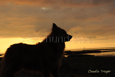 Hundestrand / Bild 160 von 376 / 20.09.2016 18:56 / DSC_4893.JPG