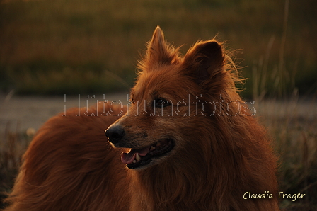 Hundestrand / Bild 161 von 376 / 20.09.2016 18:56 / DSC_4909.JPG