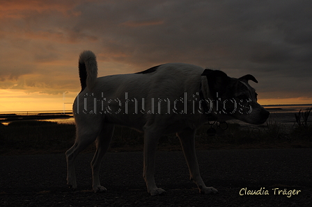 Hundestrand / Bild 162 von 376 / 20.09.2016 18:57 / DSC_4962.JPG