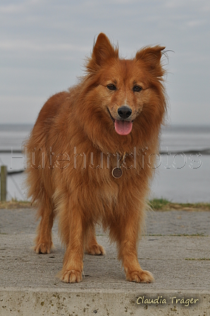 Hundestrand / Bild 163 von 376 / 21.09.2016 08:53 / DSC_9810.JPG