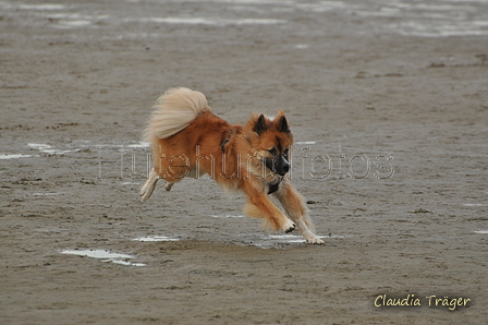 Hundestrand / Bild 165 von 376 / 21.09.2016 08:56 / DSC_9817.JPG