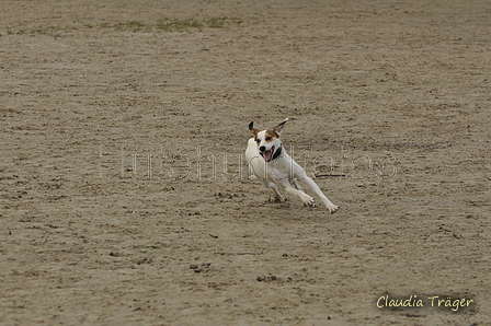 Hundestrand / Bild 166 von 376 / 21.09.2016 08:57 / DSC_9821.JPG