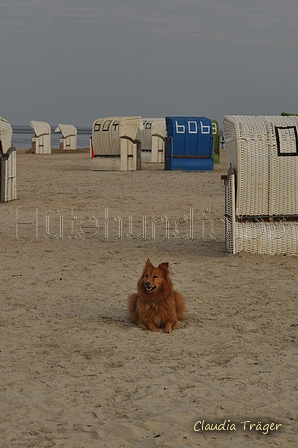 Hundestrand / Bild 168 von 376 / 21.09.2016 09:04 / DSC_9844.JPG