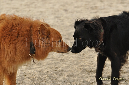 Hundestrand / Bild 169 von 376 / 21.09.2016 09:05 / DSC_9856.JPG