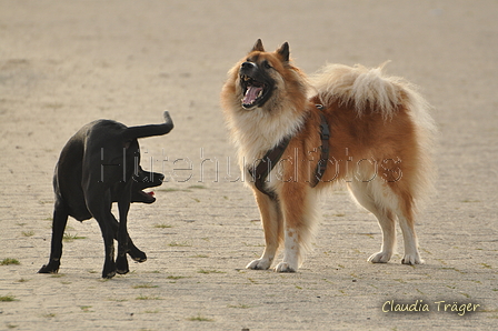 Hundestrand / Bild 177 von 376 / 21.09.2016 09:07 / DSC_9886.JPG