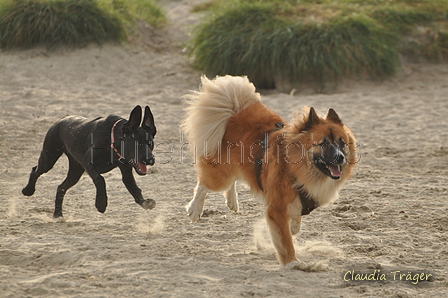 Hundestrand / Bild 179 von 376 / 21.09.2016 09:08 / DSC_9896.JPG