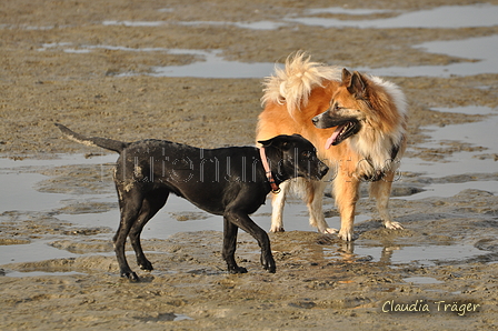 Hundestrand / Bild 194 von 376 / 21.09.2016 09:19 / DSC_9986.JPG