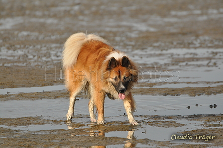 Hundestrand / Bild 198 von 376 / 21.09.2016 09:21 / DSC_0012.JPG