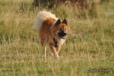 Hundestrand / Bild 204 von 376 / 21.09.2016 09:25 / DSC_0035.JPG