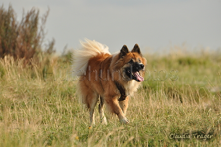 Hundestrand / Bild 205 von 376 / 21.09.2016 09:25 / DSC_0037.JPG