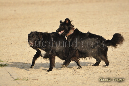 Hundestrand / Bild 206 von 376 / 21.09.2016 09:25 / DSC_0041.JPG