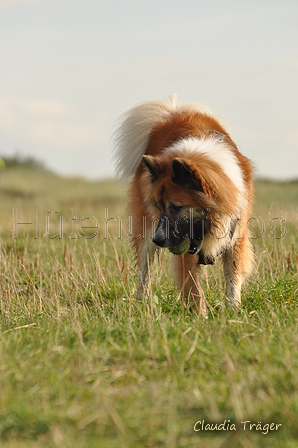 Hundestrand / Bild 207 von 376 / 21.09.2016 09:25 / DSC_0046.JPG