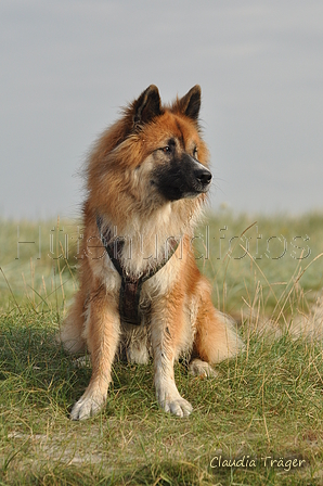 Hundestrand / Bild 208 von 376 / 21.09.2016 09:27 / DSC_0049.JPG