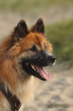 Hundestrand / Bild 210 von 376 / 21.09.2016 09:28 / DSC_0059.JPG