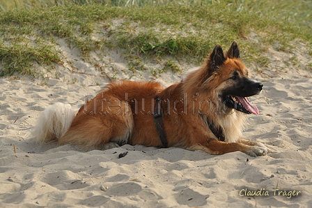 Hundestrand / Bild 215 von 376 / 21.09.2016 09:28 / DSC_0076.JPG