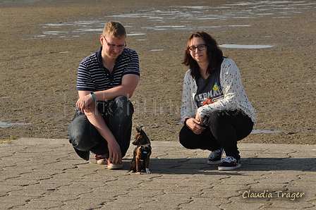 Hundestrand / Bild 238 von 376 / 21.09.2016 10:07 / DSC_0292.JPG