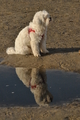 Hundestrand / Bild 253 von 376 / 21.09.2016 10:25 / DSC_0399.JPG