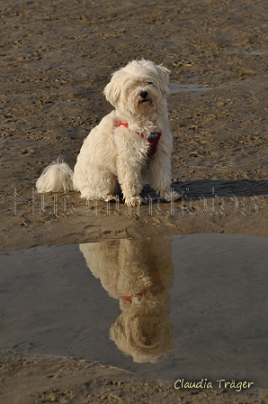 Hundestrand / Bild 256 von 376 / 21.09.2016 10:30 / DSC_0413.JPG