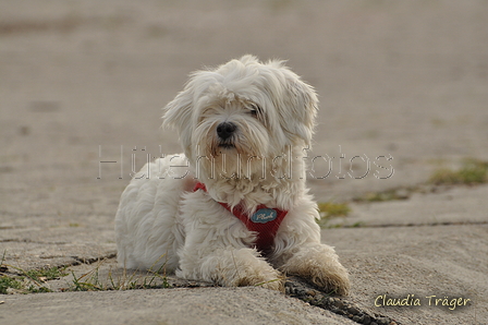 Hundestrand / Bild 268 von 376 / 21.09.2016 11:10 / DSC_0478.JPG