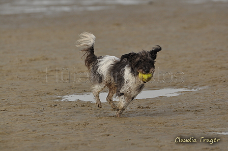 Hundestrand / Bild 274 von 376 / 21.09.2016 11:14 / DSC_0515.JPG