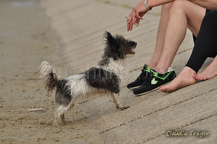 Hundestrand / Bild 275 von 376 / 21.09.2016 11:14 / DSC_0522.JPG