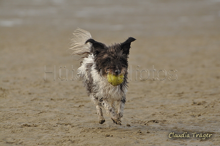 Hundestrand / Bild 277 von 376 / 21.09.2016 11:16 / DSC_0550.JPG