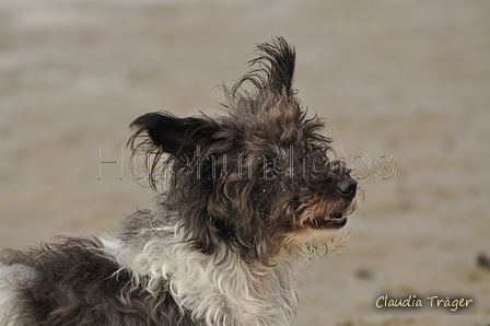 Hundestrand / Bild 279 von 376 / 21.09.2016 11:19 / DSC_0581.JPG