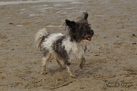 Hundestrand / Bild 281 von 376 / 21.09.2016 11:19 / DSC_0594.JPG