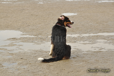 Hundestrand / Bild 282 von 376 / 21.09.2016 11:22 / DSC_0603.JPG