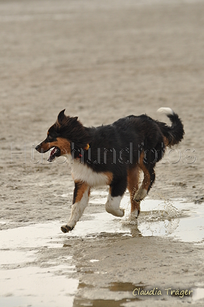 Hundestrand / Bild 283 von 376 / 21.09.2016 11:23 / DSC_0610.JPG