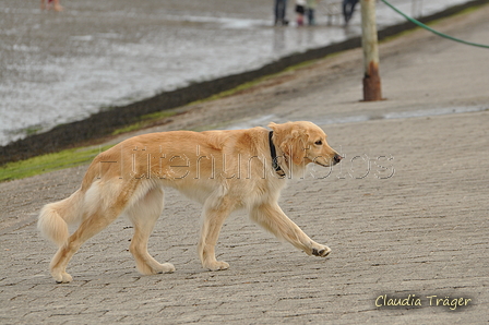 Hundestrand / Bild 286 von 376 / 21.09.2016 11:32 / DSC_0626.JPG