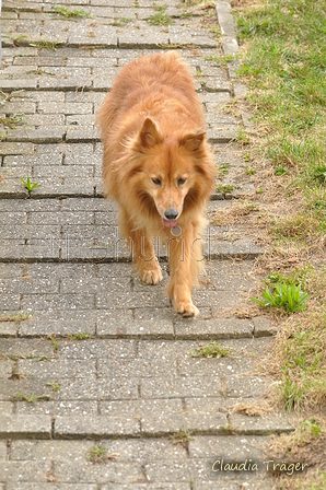 Hundestrand / Bild 287 von 376 / 21.09.2016 16:03 / DSC_0683.JPG