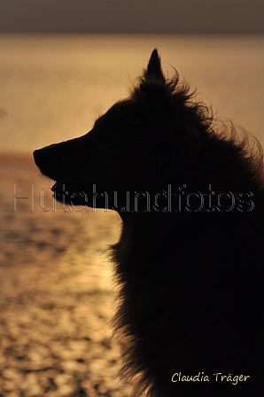 Hundestrand / Bild 294 von 376 / 21.09.2016 18:55 / DSC_0732.JPG