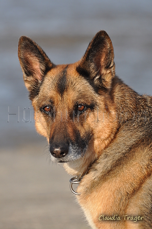 Hundestrand / Bild 317 von 376 / 22.09.2016 09:19 / DSC_1011.JPG