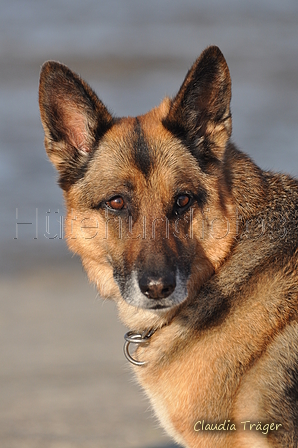 Hundestrand / Bild 318 von 376 / 22.09.2016 09:19 / DSC_1012.JPG