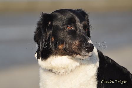 Hundestrand / Bild 320 von 376 / 22.09.2016 09:19 / DSC_1017.JPG