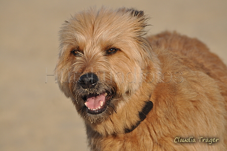 Hundestrand / Bild 327 von 376 / 22.09.2016 09:27 / DSC_1045.JPG