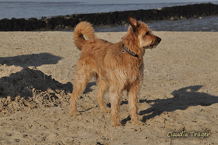 Hundestrand / Bild 329 von 376 / 22.09.2016 09:29 / DSC_1076.JPG