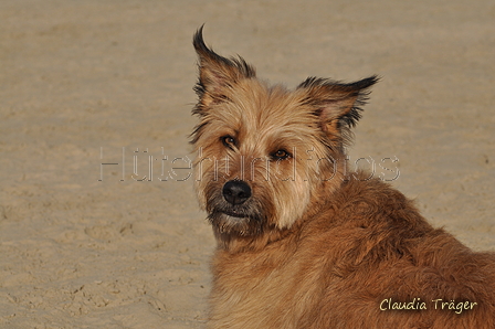 Hundestrand / Bild 330 von 376 / 22.09.2016 09:30 / DSC_1085.JPG